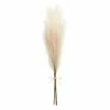World Market Natural Faux Pampas Grass Bunch