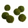 World Market Green Moss Ball Decor 6 Piece
