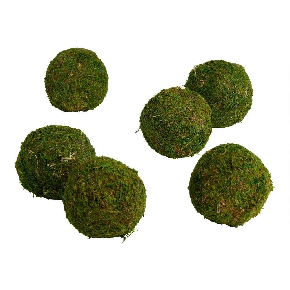 World Market Green Moss Ball Decor 6 Piece 1 World Market Green Moss Ball Decor 6 Piece