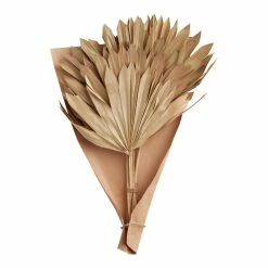 World Market Dried Sun Palm Leaf Bunch -Decor & Pillows Sales Store unnamed file 112