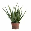 World Market Faux Aloe Plant In Terracotta Pot