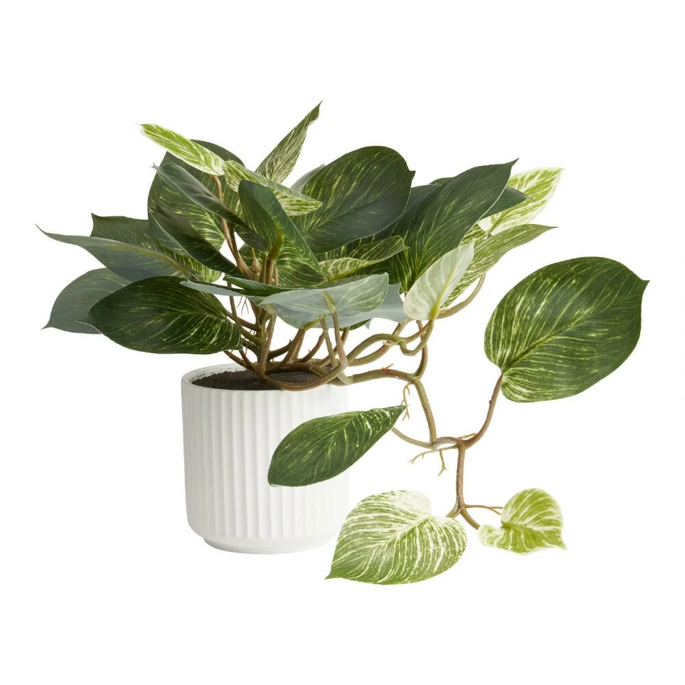 World Market Faux Pothos Plant in White Ceramic Pot 1 World Market Faux Pothos Plant in White Ceramic Pot