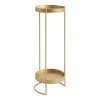 World Market Matte Gold Metal 2 Tier Plant Stand