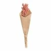 World Market Pink Dried Bunny Tails Bunch