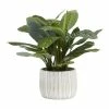 World Market Faux Philodendron Birkin Plant in White Striped Pot