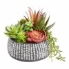 World Market Faux Succulent Arrangement in Black Etched Ceramic Pot