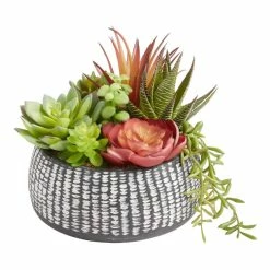 World Market Faux Succulent Arrangement in Black Etched Ceramic Pot