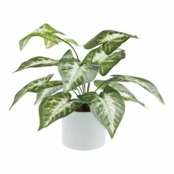 World Market Faux Dasheen Leaf Plant in White Cement Pot