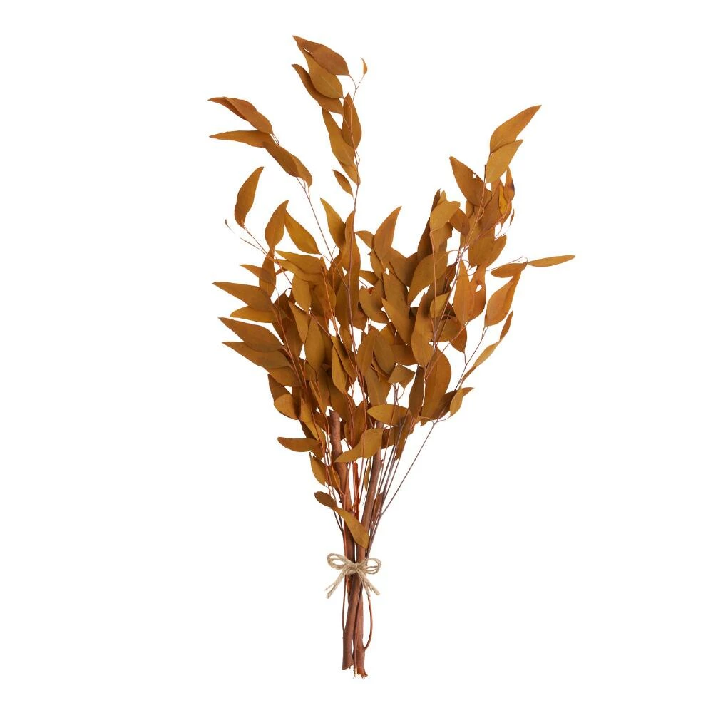 World Market Dried Willow Eucalyptus Bunch 2 World Market Dried Willow Eucalyptus Bunch - Image 2