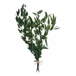 World Market Dried Willow Eucalyptus Bunch 5 World Market Dried Willow Eucalyptus Bunch -Decor & Pillows Sales Store unnamed file 1519