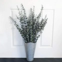 World Market Preserved Baby Eucalyptus Bunch -Decor & Pillows Sales Store unnamed file 1526