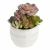 World Market Faux Succulent Arrangement in Glazed Ivory Ceramic Pot
