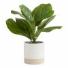 World Market Faux Fiddle Leaf Fig Plant in Two Tone Cement Pot