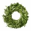 World Market Fresh Olive Branch Wreath