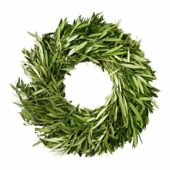 World Market Fresh Olive Branch Wreath