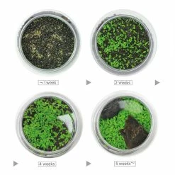 World Market Noted Water Garden Glass Plant Aquarium Set -Decor & Pillows Sales Store unnamed file 1741