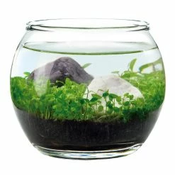 World Market Noted Water Garden Glass Plant Aquarium Set -Decor & Pillows Sales Store unnamed file 1743