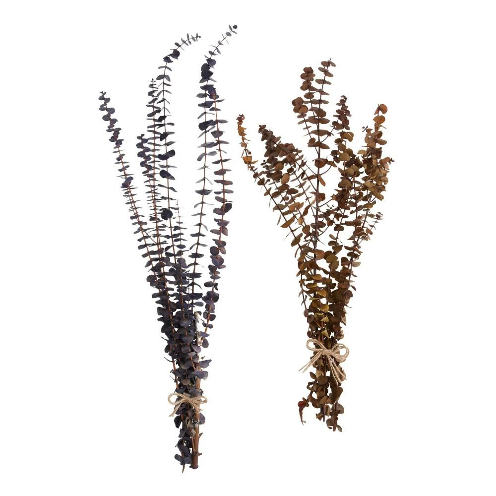 World Market Dried Baby Eucalyptus Bunch 1 World Market Dried Baby Eucalyptus Bunch