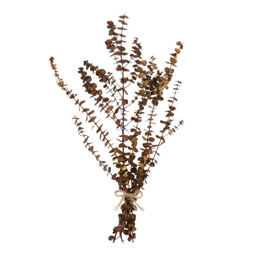 World Market Dried Baby Eucalyptus Bunch 2 World Market Dried Baby Eucalyptus Bunch - Image 2