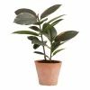 World Market Mini Faux Rubber Plant in Terracotta Pot