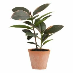 World Market Mini Faux Rubber Plant in Terracotta Pot