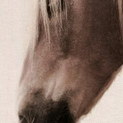 World Market Magnificent in Sepia Canvas Wall Art -Decor & Pillows Sales Store unnamed file 1857