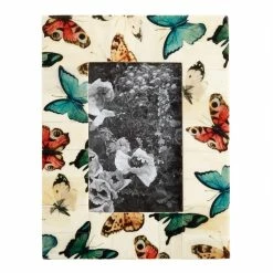 World Market Butterfly Bone Frame