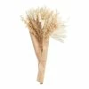 World Market White Dried Sun Palm Leaf Bunch