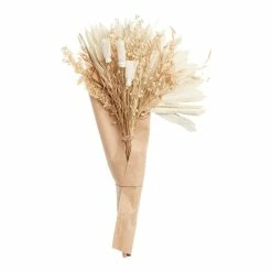 World Market White Dried Sun Palm Leaf Bunch