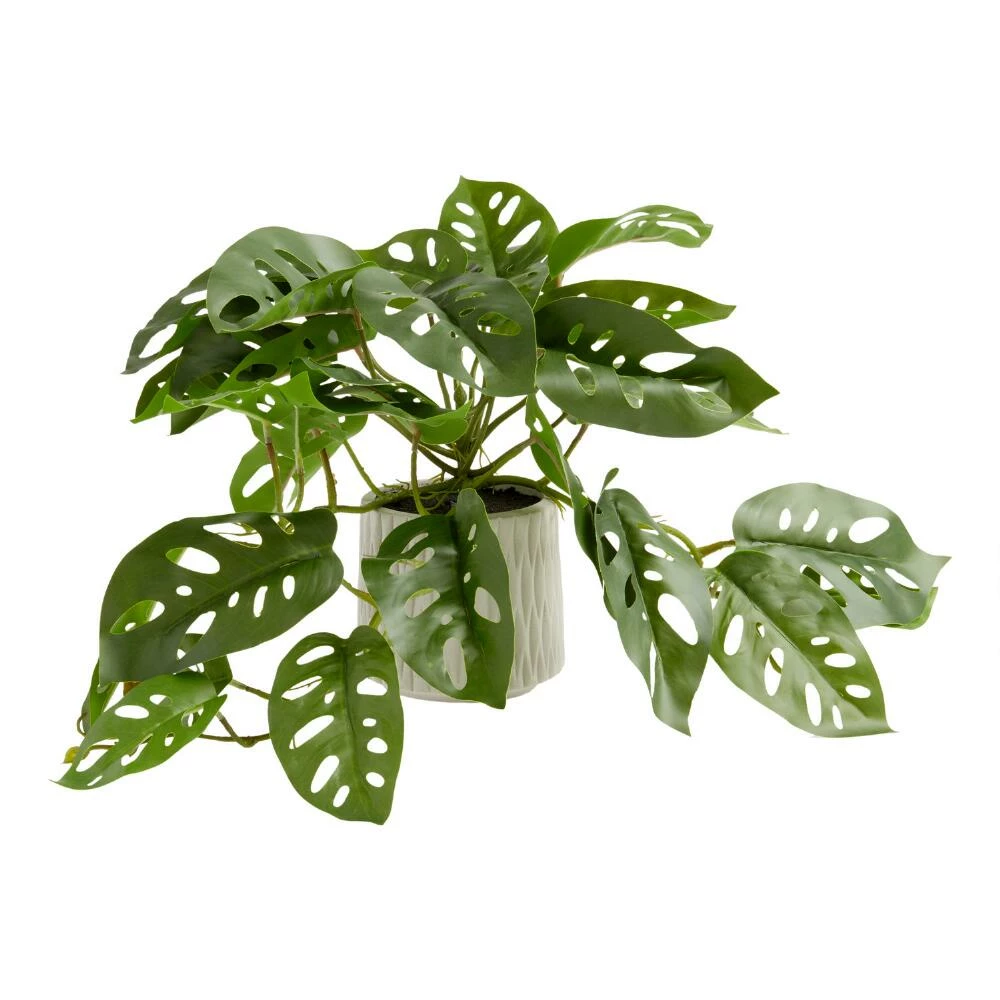 World Market Faux Monstera Plant in Geo Ceramic Pot 1 World Market Faux Monstera Plant in Geo Ceramic Pot