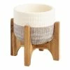 World Market Ivory And Gray Two Tone Ceramic Planter With Wood Stand