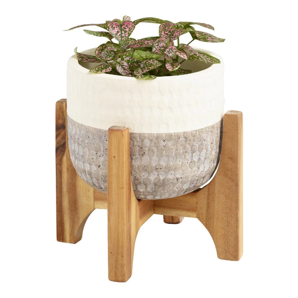 World Market Ivory And Gray Two Tone Ceramic Planter With Wood Stand 4 World Market Ivory And Gray Two Tone Ceramic Planter With Wood Stand - Image 4