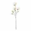 World Market Cream Faux Magnolia Stem