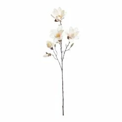 World Market Cream Faux Magnolia Stem