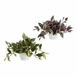 World Market Faux Tradescantia Zebrina Plants In Ceramic Pots Set Of 2
