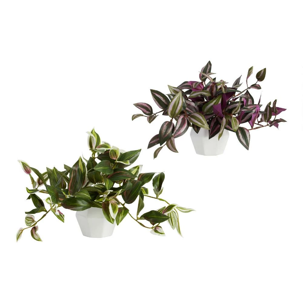 World Market Faux Tradescantia Zebrina Plants In Ceramic Pots Set Of 2 1 World Market Faux Tradescantia Zebrina Plants In Ceramic Pots Set Of 2