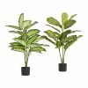 World Market Faux Dieffenbachia Plants Set of 2