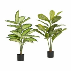 World Market Faux Dieffenbachia Plants Set of 2