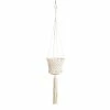 World Market Cotton Macrame Basket Plant Hanger
