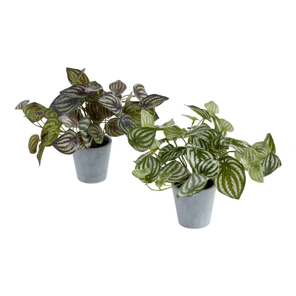 World Market Faux Peperomia Plants Set of 2 1 World Market Faux Peperomia Plants Set of 2