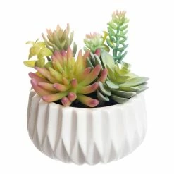 World Market Faux Succulent Arrangements in Geo Ceramic Pots Set of 2 -Decor & Pillows Sales Store unnamed file 2105