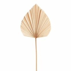 World Market Dried Anahao Palm Stem