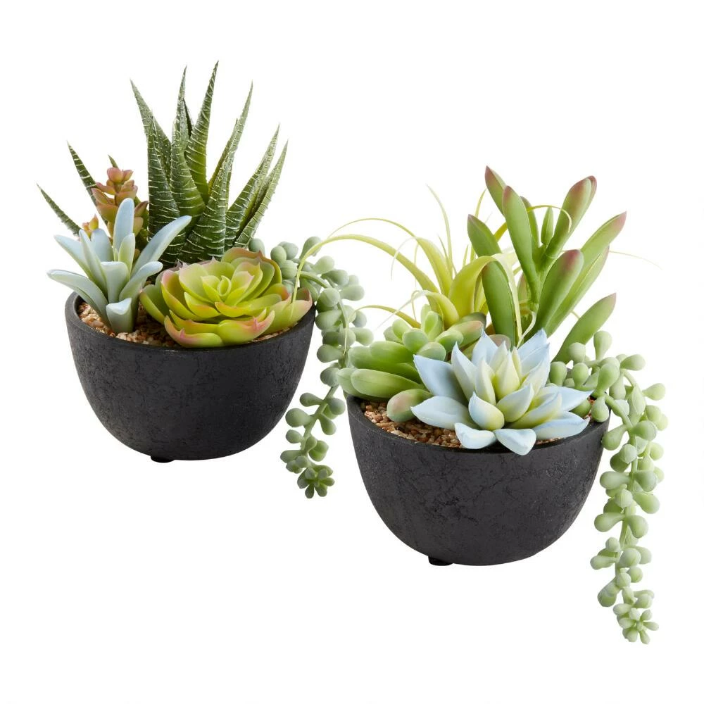 World Market Faux Succulent Arrangements in Black Pots Set of 2 1 World Market Faux Succulent Arrangements in Black Pots Set of 2
