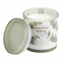 World Market Large Eucalyptus and Neroli 3 Wick Scented Candle