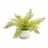World Market Faux Fern in Two Tone Ceramic Pot