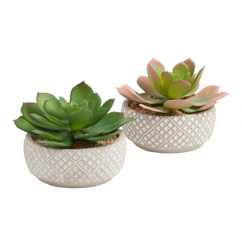 World Market Faux Echeverias in Geo Cement Pots Set of 2 1 World Market Faux Echeverias in Geo Cement Pots Set of 2
