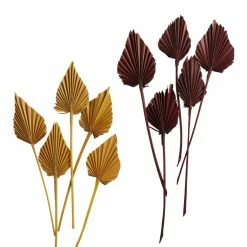 World Market Dried Palm Spear Bunch