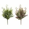 World Market Mini Faux Eucalyptus Sprays Set Of 2