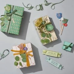 World Market Modern Sprout Pollinator Seed Lollipops Set of 3 -Decor & Pillows Sales Store unnamed file 2318