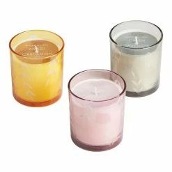 World Market Large Bubble Glass Botanical Scented Candle